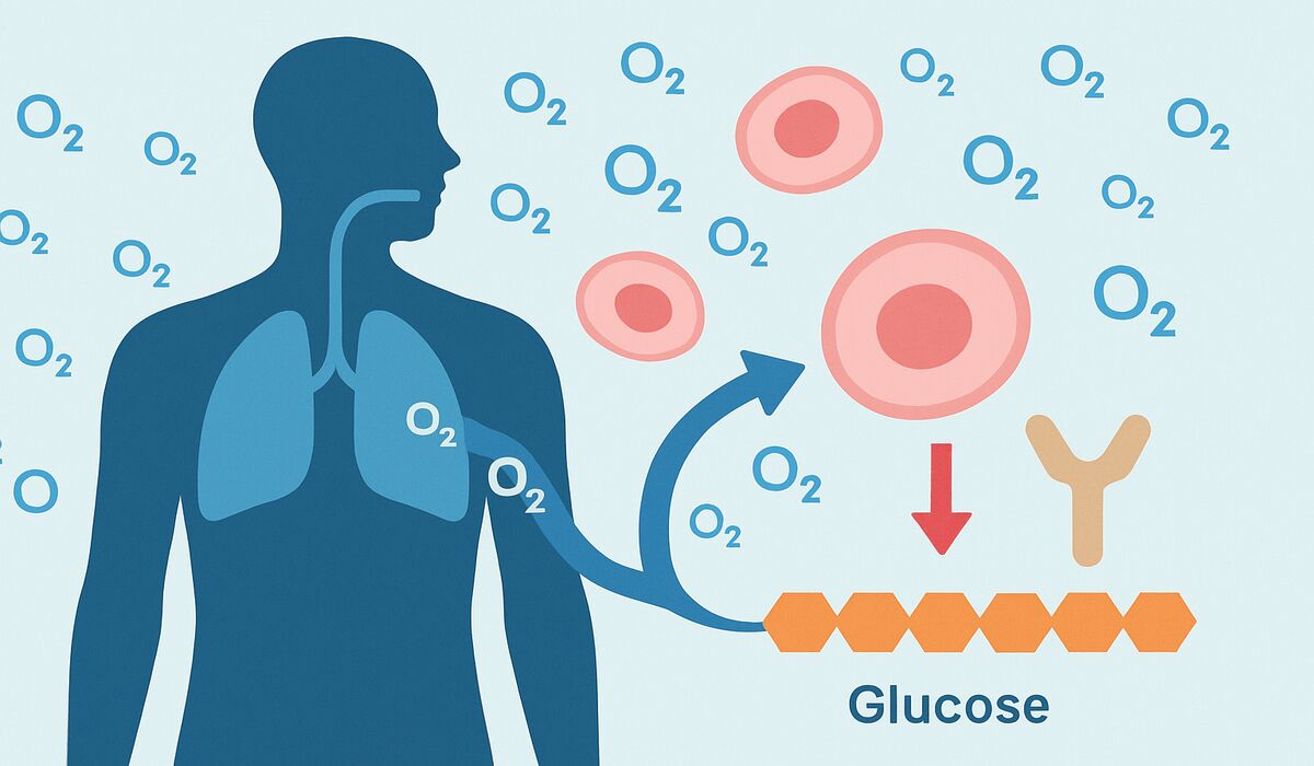 Medical illustration of oxygen impacting glucose and insulin pathways.