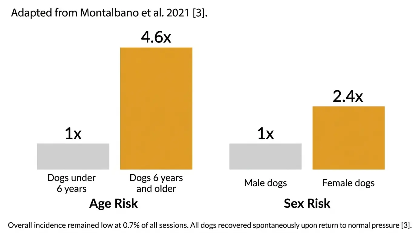 Bar chart showing CNS oxygen toxicity risk factors in dogs during HBOT: dogs over 6 years are 4.6 times more likely, female dogs are 2.4 times more likely