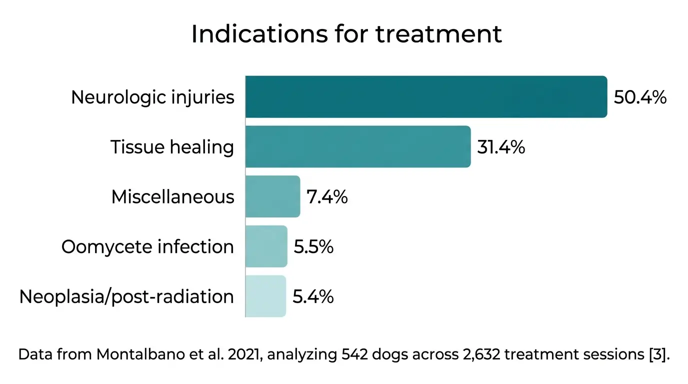 Horizontal bar chart showing the frequency of conditions treated by veterinary HBOT: neurologic 50.4%, tissue healing 31.4%, oomycete 5.5%, neoplasia 5.4%, miscellaneous 7.4%