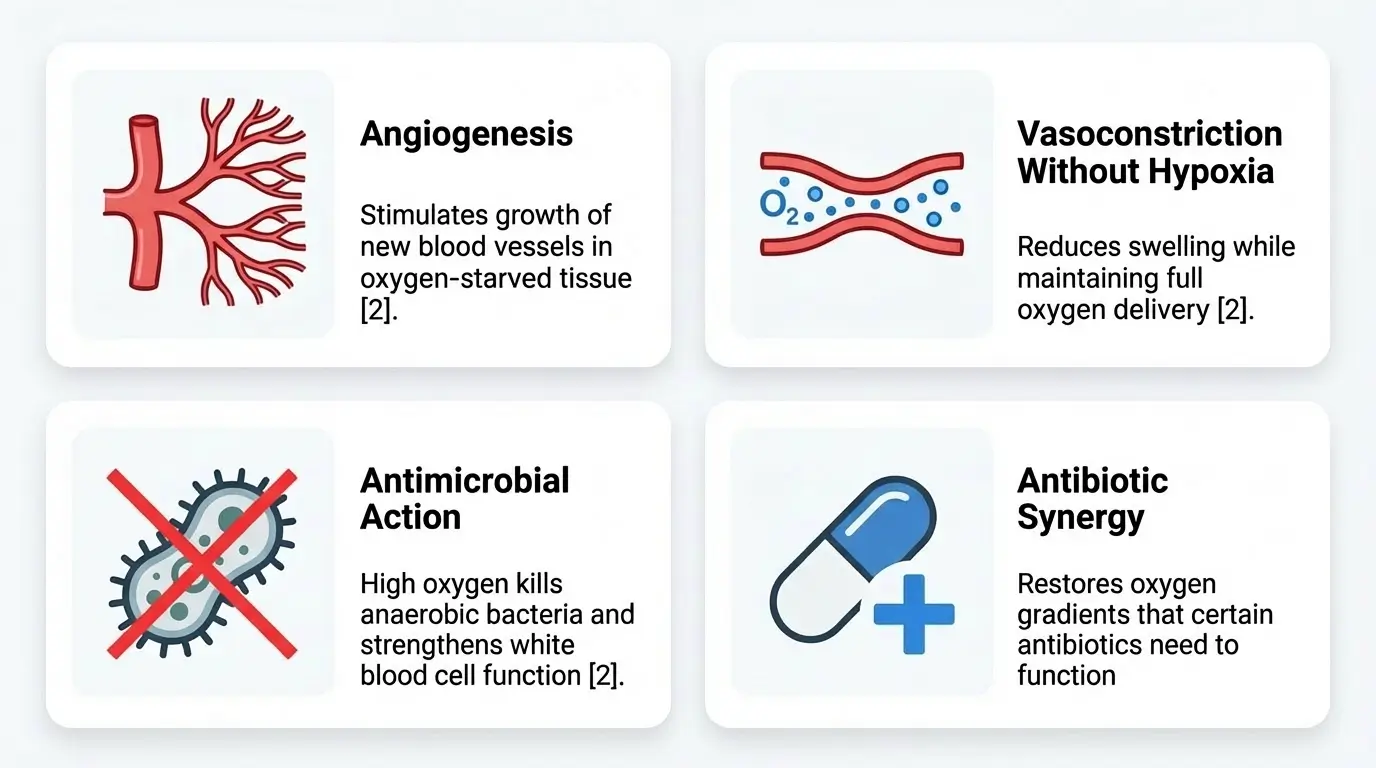 Four core therapeutic mechanisms of hyperbaric oxygen therapy for dogs: angiogenesis, vasoconstriction, antimicrobial action, and antibiotic synergy