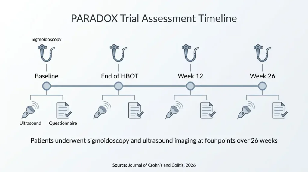 Timeline of the PARADOX trial showing four assessment points from baseline to week 26